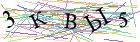Введите текст с картинки