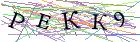 Введите текст с картинки