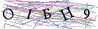 Введите текст с картинки