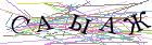 Введите текст с картинки