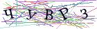 Введите текст с картинки