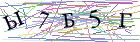 Введите текст с картинки