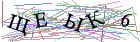 Введите текст с картинки