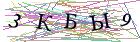 Введите текст с картинки