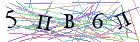 Введите текст с картинки