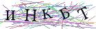Введите текст с картинки