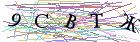 Введите текст с картинки