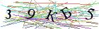 Введите текст с картинки