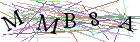 Введите текст с картинки