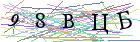 Введите текст с картинки