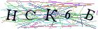 Введите текст с картинки