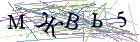 Введите текст с картинки