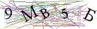 Введите текст с картинки