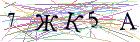 Введите текст с картинки