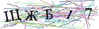 Введите текст с картинки