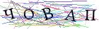 Введите текст с картинки