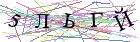 Введите текст с картинки