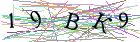 Введите текст с картинки
