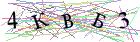 Введите текст с картинки