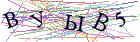 Введите текст с картинки