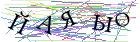 Введите текст с картинки