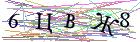 Введите текст с картинки