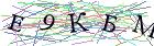 Введите текст с картинки