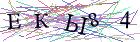 Введите текст с картинки
