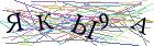 Введите текст с картинки