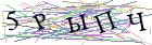 Введите текст с картинки