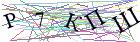 Введите текст с картинки