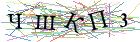 Введите текст с картинки
