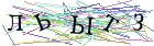 Введите текст с картинки