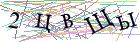 Введите текст с картинки