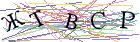 Введите текст с картинки