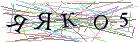 Введите текст с картинки