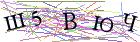 Введите текст с картинки