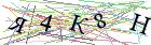 Введите текст с картинки