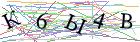 Введите текст с картинки