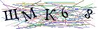 Введите текст с картинки