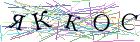 Введите текст с картинки