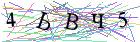 Введите текст с картинки