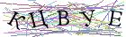 Введите текст с картинки