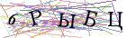 Введите текст с картинки