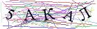 Введите текст с картинки