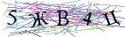 Введите текст с картинки