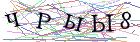 Введите текст с картинки