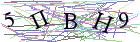 Введите текст с картинки