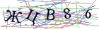 Введите текст с картинки