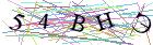 Введите текст с картинки